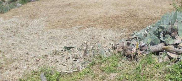 2 Schlafzimmer Stadthaus in Moya, Spain, Nr. 67567 19