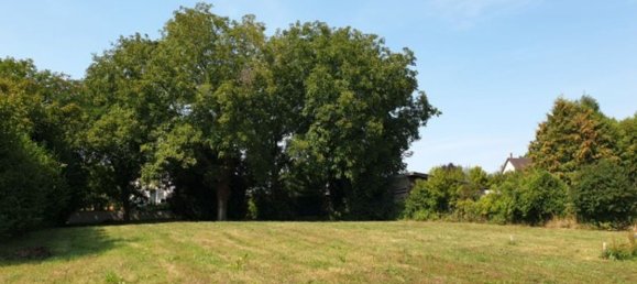  Land in Steinbrunn-le-Haut, France No. 332756 2