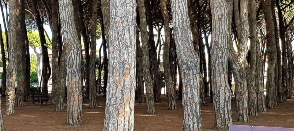 5 bedrooms House in Carrara, Italy No. 347888 22