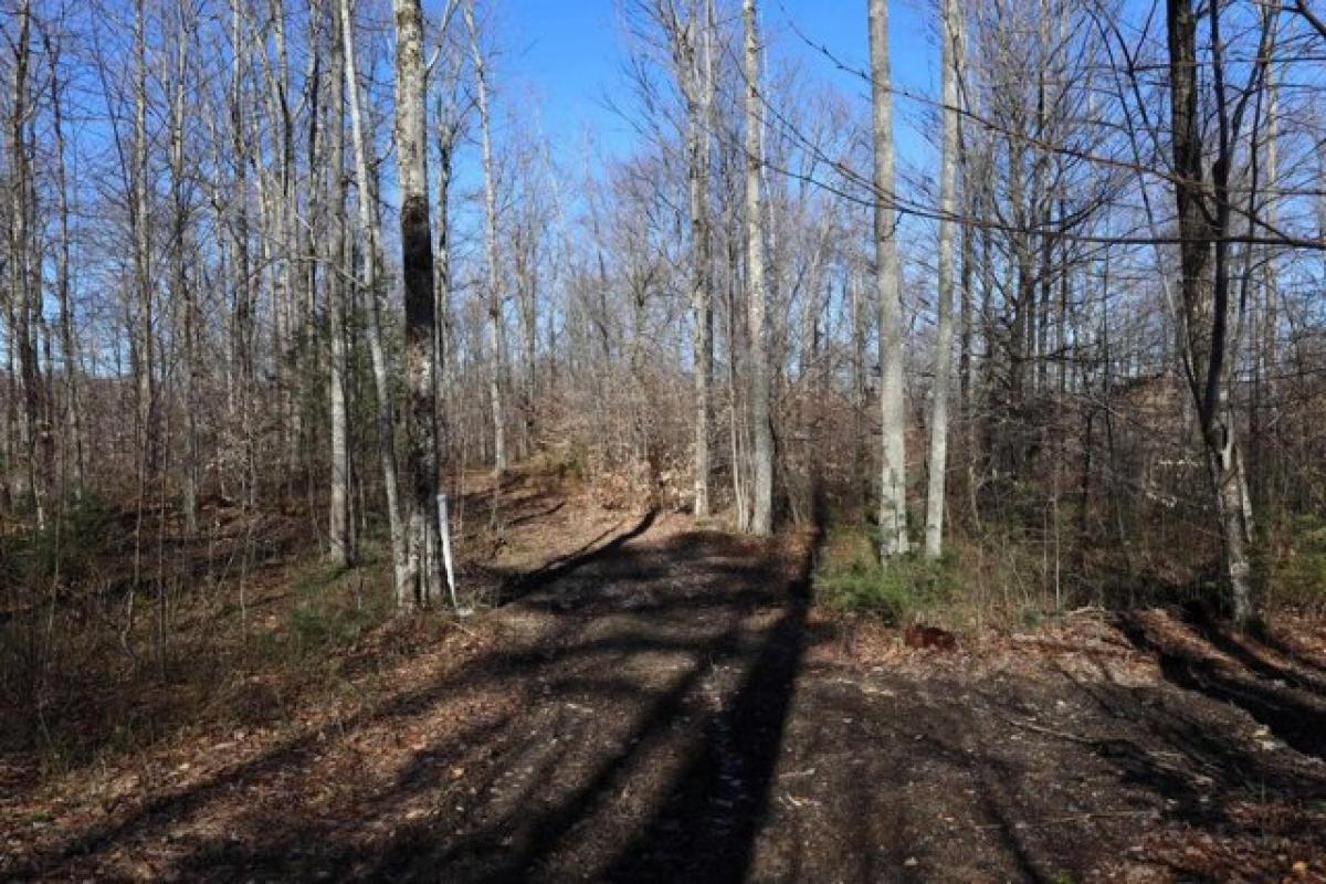 Земельный участок в Колтон, США № 545604