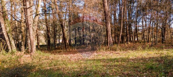 9 chambres Maison à Vila Verde, Portugal No. 85547 12