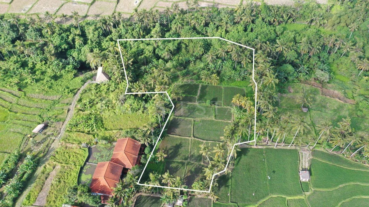  Land in Ubud, Indonesia No. 41