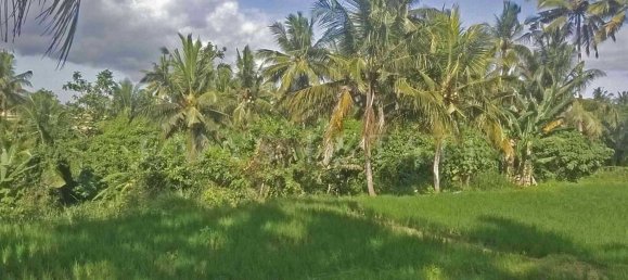  Land in Ubud, Indonesia No. 41 8
