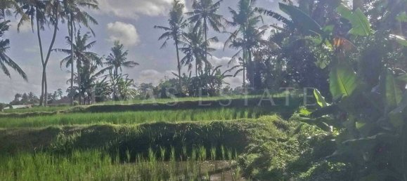  Land in Ubud, Indonesia No. 41 5