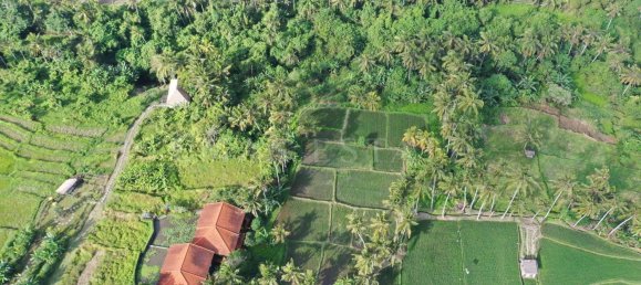  Land in Ubud, Indonesia No. 41 6
