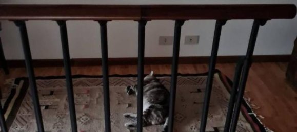 4-Zimmer Wohnung in Cornalba, Italy, Nr. 36343 14