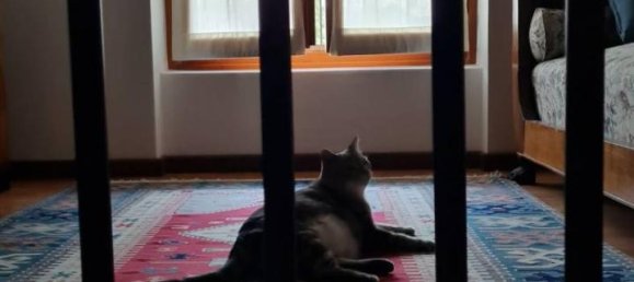 4-Zimmer Wohnung in Cornalba, Italy, Nr. 36343 9