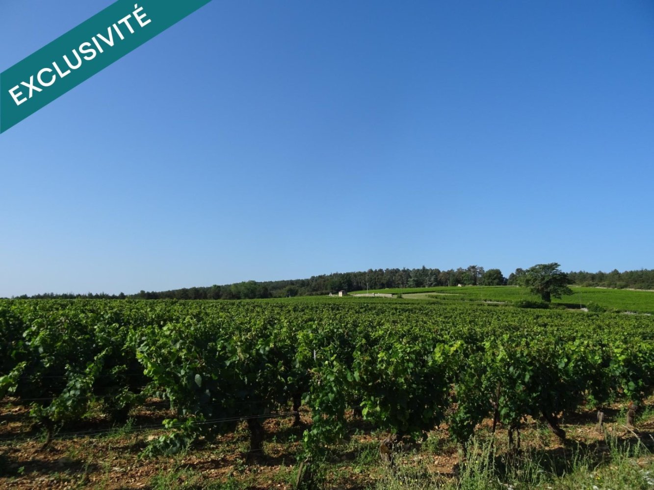 2800m² Land in Chagny, France No. 111652