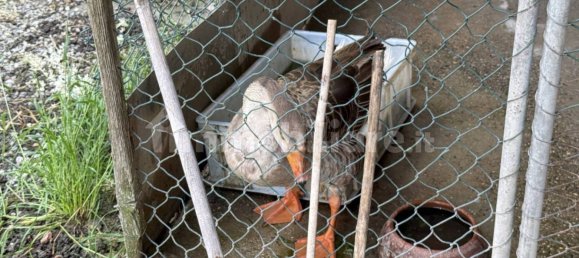 88599m² Land in Reggio Emilia, Italy No. 274702 6