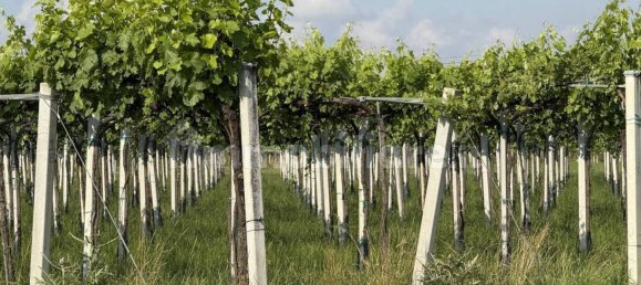 88599m² Land in Reggio Emilia, Italy No. 274702 4