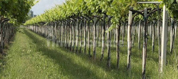 88599m² Land in Reggio Emilia, Italy No. 274702 5