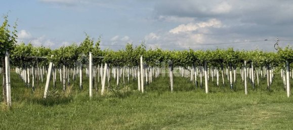 88599m² Land in Reggio Emilia, Italy No. 274702 3