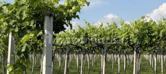 88599m² Land in Reggio Emilia, Italy No. 274702 7