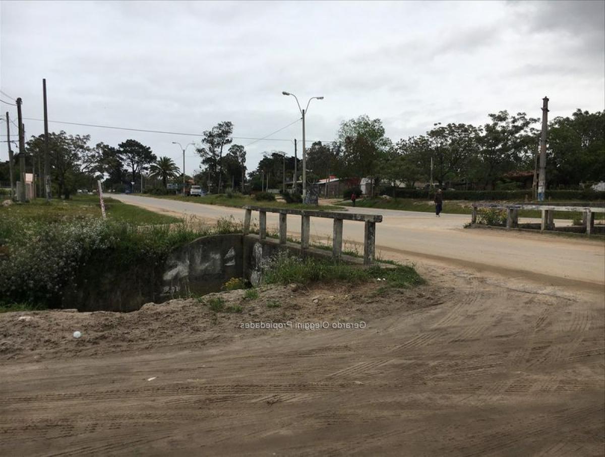 Terrain à Canelones, Uruguay No. 14464