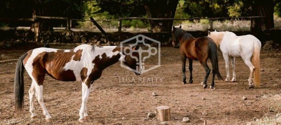  فيلا في La Matanza de Acentejo, Spain رقم 16409 4