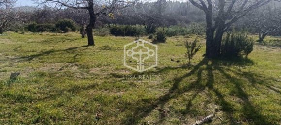  فيلا في La Matanza de Acentejo, Spain رقم 16409 5