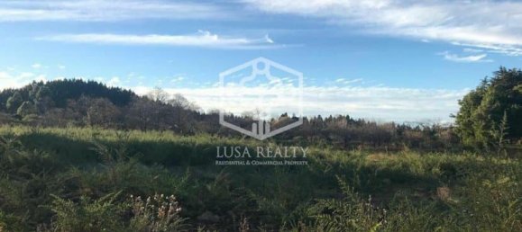  فيلا في La Matanza de Acentejo, Spain رقم 16409 6