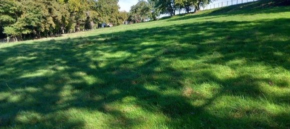 2 chambres Maison à Mornay-sur-Allier, France No. 154887 6