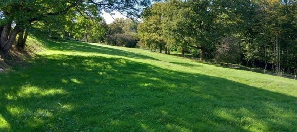 2 chambres Maison à Mornay-sur-Allier, France No. 154887 8