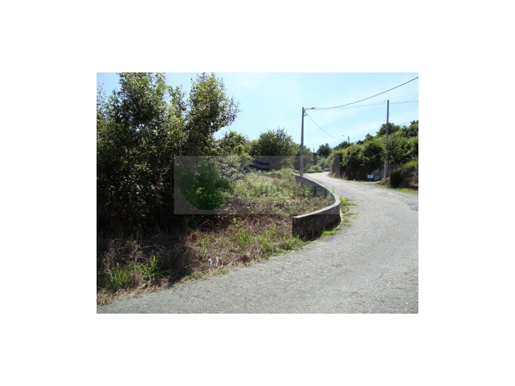 Terrain à Pessegueiro do Vouga, Portugal 5000m² No. 255639