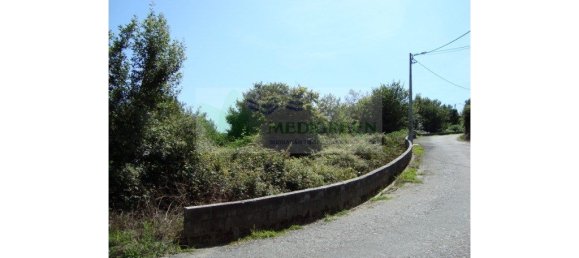 5000m² Land in Pessegueiro do Vouga, Portugal No. 255639 3