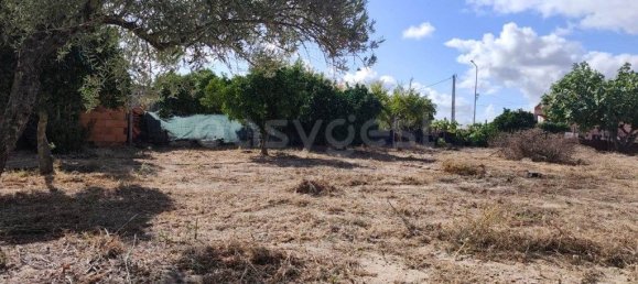 Grundstück in Figueira dos Cavaleiros, Portugal 492m², Nr. 344770 10