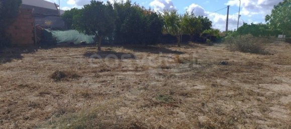 Grundstück in Figueira dos Cavaleiros, Portugal 492m², Nr. 344770 12