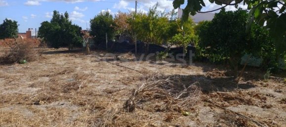 Grundstück in Figueira dos Cavaleiros, Portugal 492m², Nr. 344770 7