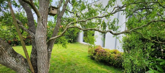 6 bedrooms House in Mayenne, France No. 363182 9