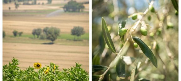 Casa de 4 dormitorios en Cortona, Italy No. 53535 39