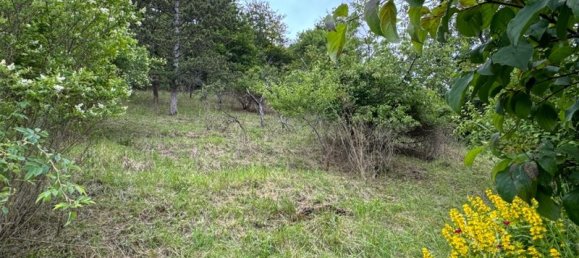 3 bedrooms House in Joinville, France No. 270074 12