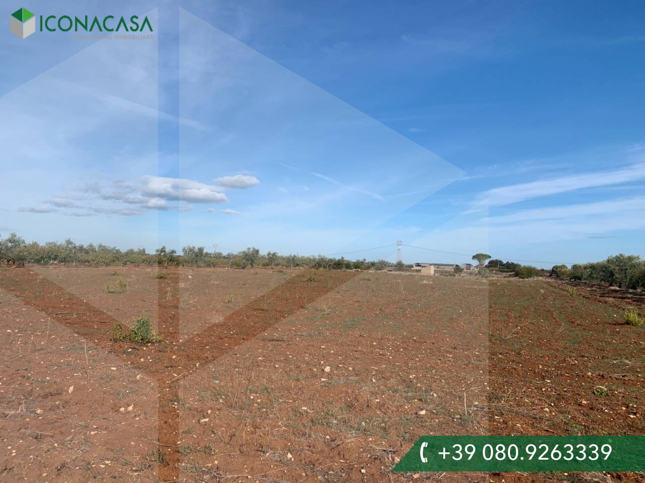 1 room Land in Casamassima, Italy No. 29369