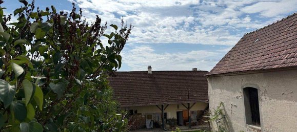 7 rooms Commercial property in Grafenegg, Austria No. 241156 31