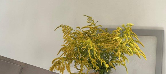 7 rooms Commercial property in Grafenegg, Austria No. 241156 21