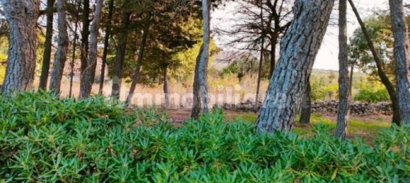 Вилла с 4 спальнями в Ното, Италия № 178965 6