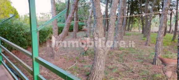 Вилла с 4 спальнями в Ното, Италия № 178965 9