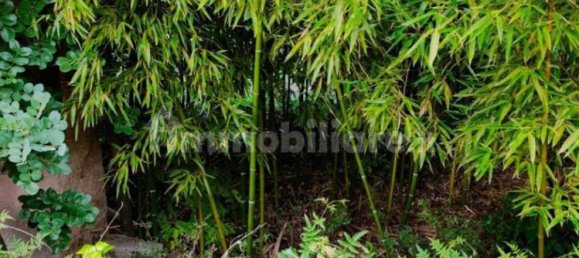 Вилла с 4 спальнями в Ното, Италия № 178965 8