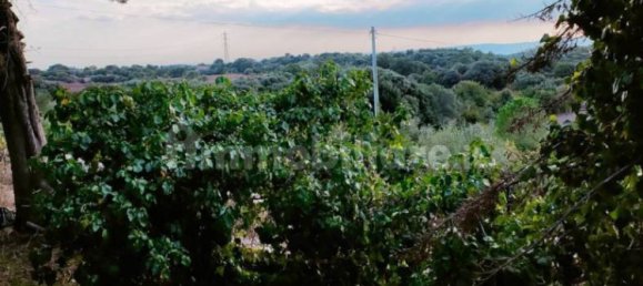 Вилла с 4 спальнями в Ното, Италия № 178965 10