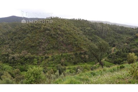  قطعة أرض في Monchique, Portugal رقم 351409