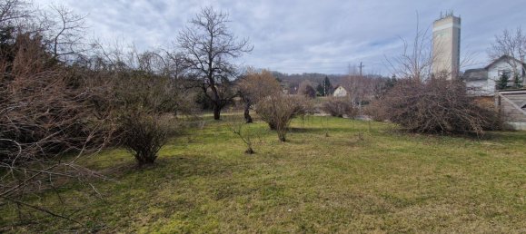 12 rooms House in Grossweikersdorf, Austria No. 140932 29