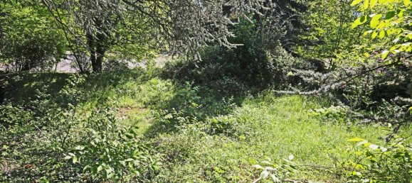 Grundstück in Andritz, Austria, Nr. 22043 4