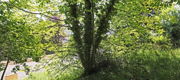 Grundstück in Andritz, Austria, Nr. 22043 9