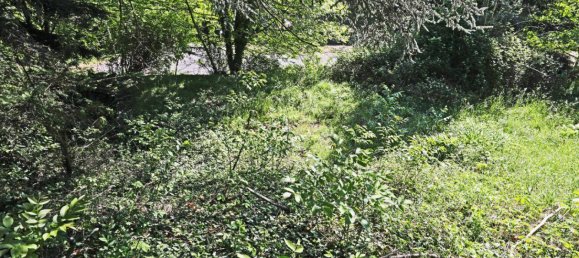 Grundstück in Andritz, Austria, Nr. 22043 3