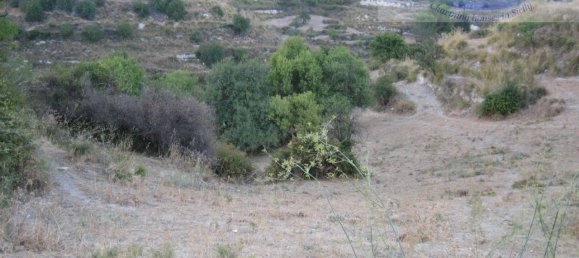 49658m² Land in Giarratana, Italy No. 237710 6