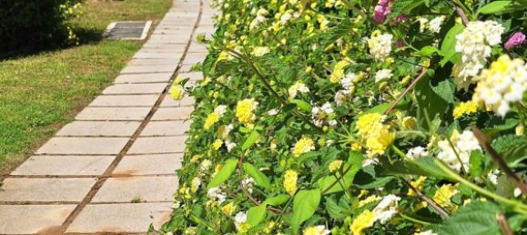 Apartamento de 2 dormitorios en Casares, Spain No. 146164 24