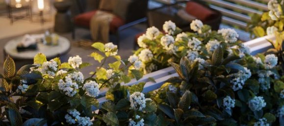 Apartamento de 3 divisões em Milan, Italy N.º 244387 7