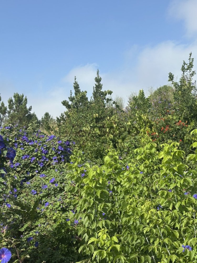  Land in Porto, Portugal No. 268697