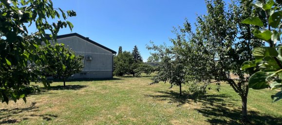 3 bedrooms House in Bildein, Austria No. 127448 6