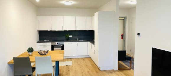 Büro in Linz, Austria 58m², Nr. 150568 8