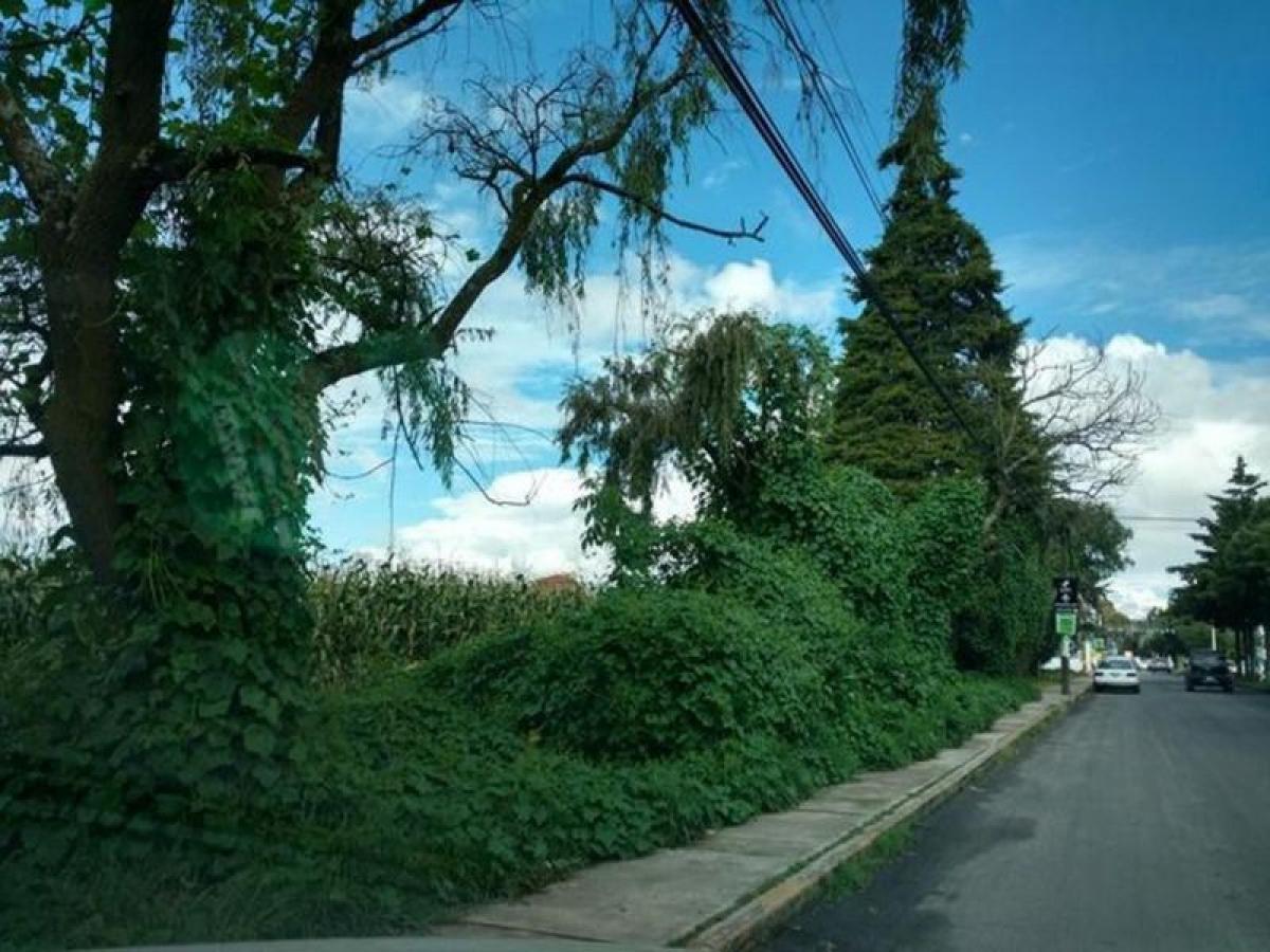 Terreno em San Mateo Atenco, Mexico N.º 204188
